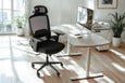 Avalon 3D Adjustable Arms