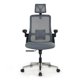 Realm of Thrones CAPTAIN Ergonomic Office Chair（Grey）