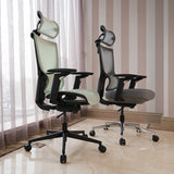 Realm of Thrones ADMIRAL Ergonomic Office Chair with 4D Armrests（Black）