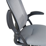Realm of Thrones CAPTAIN Ergonomic Office Chair（Grey）