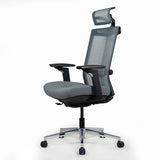 Realm of Thrones COMMODORE Ergonomic Mesh Office Chair with 4D Armrests（Grey）