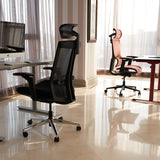 Realm of Thrones COMMODORE Ergonomic Mesh Office Chair with 4D Armrests（Grey）