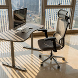 Realm of Thrones ADMIRAL Ergonomic Office Chair with 4D Armrests（Black）