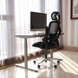 Realm of Thrones CAPTAIN Ergonomic Office Chair（Grey）