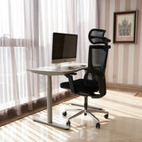Realm of Thrones ADMIRAL Ergonomic Office Chair with 4D Armrests（Black）