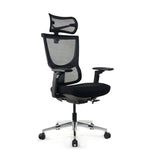 Realm of Thrones ADMIRAL Ergonomic Office Chair with 4D Armrests（Black）