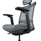 Realm of Thrones COMMODORE Ergonomic Mesh Office Chair with 4D Armrests（Grey）