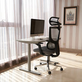 Realm of Thrones ADMIRAL Ergonomic Office Chair with 4D Armrests（Black）