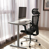 Realm of Thrones ADMIRAL Ergonomic Office Chair with 4D Armrests（Black）