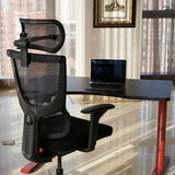 Realm of Thrones ADMIRAL Ergonomic Office Chair with 4D Armrests（Black）