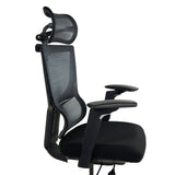 Realm of Thrones ADMIRAL Ergonomic Office Chair with 4D Armrests（Black）
