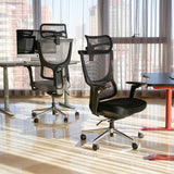 Realm of Thrones ADMIRAL Ergonomic Office Chair with 4D Armrests（Black）