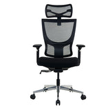 Realm of Thrones ADMIRAL Ergonomic Office Chair with 4D Armrests（Black）
