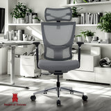 ADMIRAL Ergonomic Office Chair (Grey)
