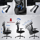 Valkyrie Ergonomic Office Chair (Black)