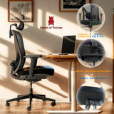 Valkyrie Ergonomic Office Chair (Black)