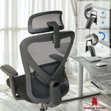 Valkyrie Ergonomic Office Chair (Black)